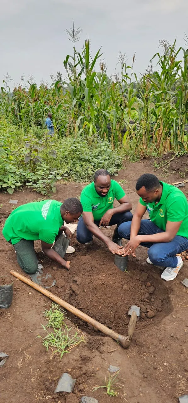 The Hero Roots Sustainable Agriculture