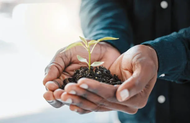 Environmental sustainability