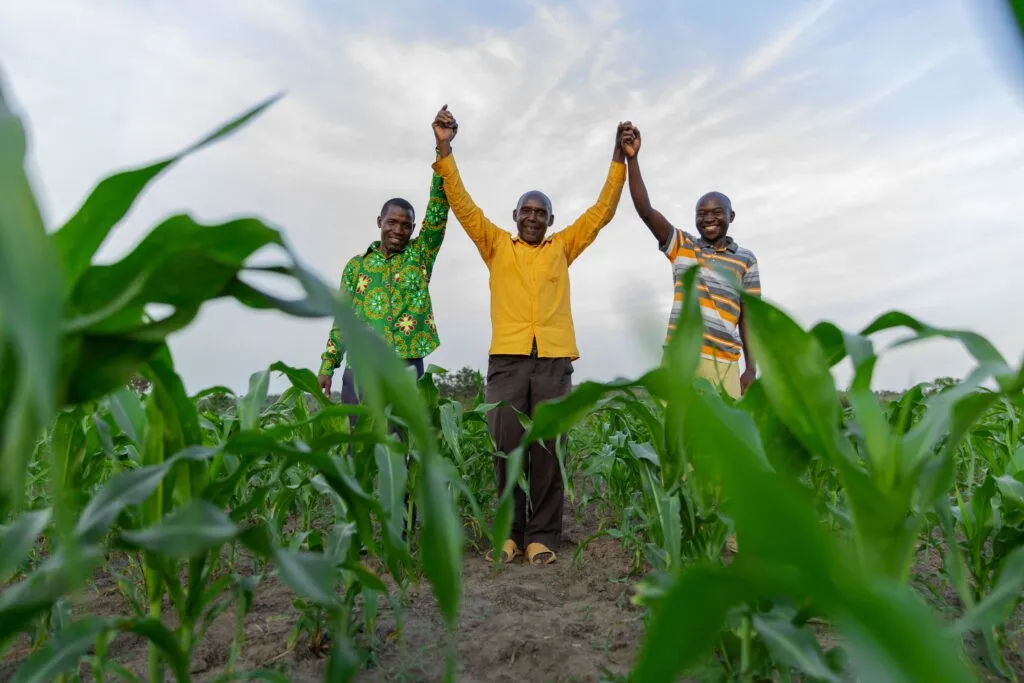 Agribusiness Rwanda