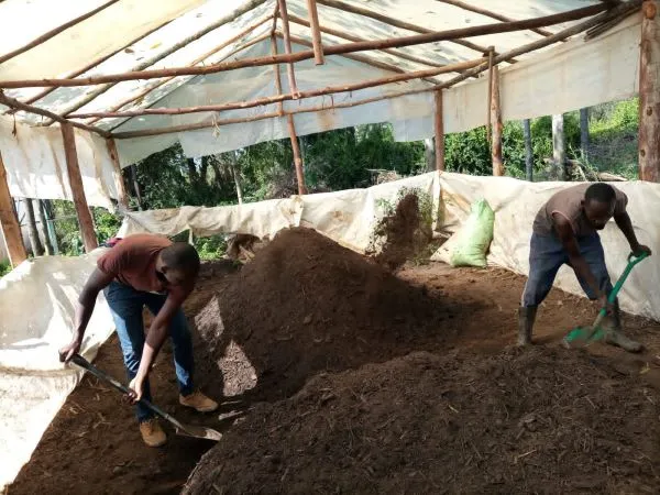 Organic compost production process