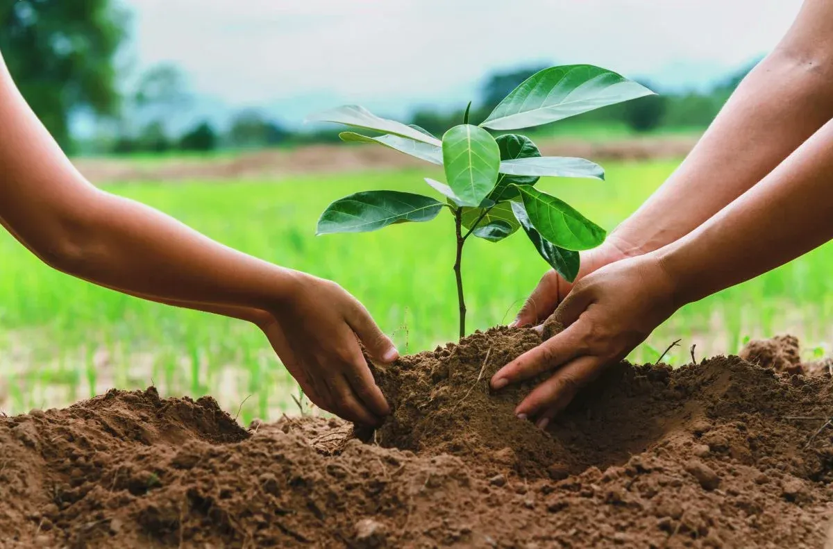 Climate Action