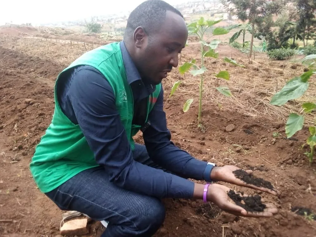 Natural compost fertilizer Rwanda