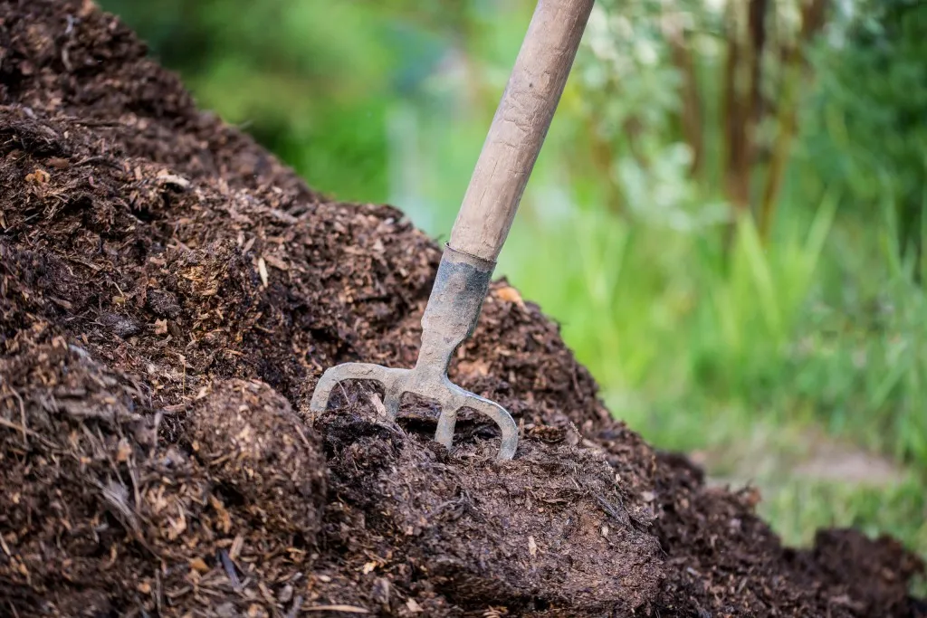 Compost